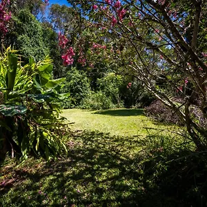 Tranquil Rainforest Apartment